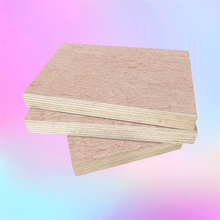 Commercial Plywood Packaging Plywood 8x4 FT Good Price