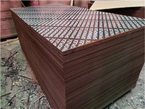 15mm Film Faced Plywood- Construction