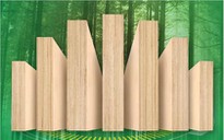 Bleached Lvl Building Beams/lvb Plywood For Furniture Manufacture