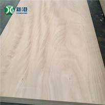 XINGANG2023 18mm Commercial Plywood Furniture Plywood Packing Plywood Face Back For Bintangor Okoume Birch Sheet MR E0 E1 E2