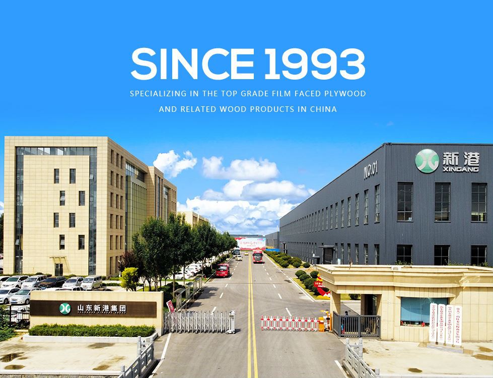 Shandong Xingang Global Group