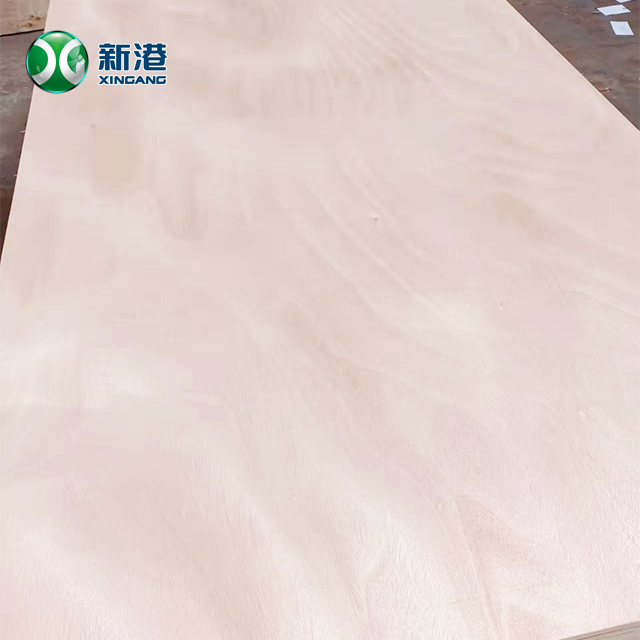 Phenolic 12mm Okoume Plywood