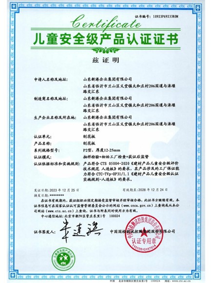 Child Safety Certificate Child Safety Certificate